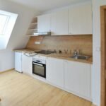 pronajem-moderniho-bytu-2-kk-po-rekonstrukci-ulice-hornicka-dobra-voda-u-ceskych-budejovic-82fa6e-2