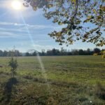 Prodej-pozemku-Roznov_VIII