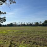 Roznov-Zahradni-mesto_VI