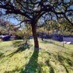 RD-Cerny-Dub-Zahrada-4