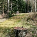 DJI_20260325_132926_198