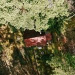 DJI_20260325132917_0606_D