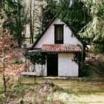 DJI_20260325133014_0611_D