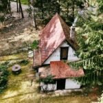 DJI_20260325132947_0609_D