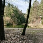 DJI_20260325_133024_024