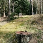 DJI_20260325_132926_198